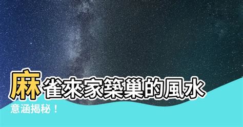 麻雀風水|【麻雀做窩】麻雀飛進家裡築巢？居家風水大解析！